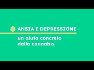 Ansia e depressione, un aiuto concreto dalla cannabis