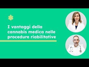 L’uso della cannabis nelle procedure riabilitative - Video