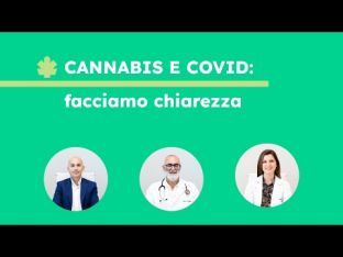 Cannabis e Covid: facciamo chiarezza - #ClinnLive