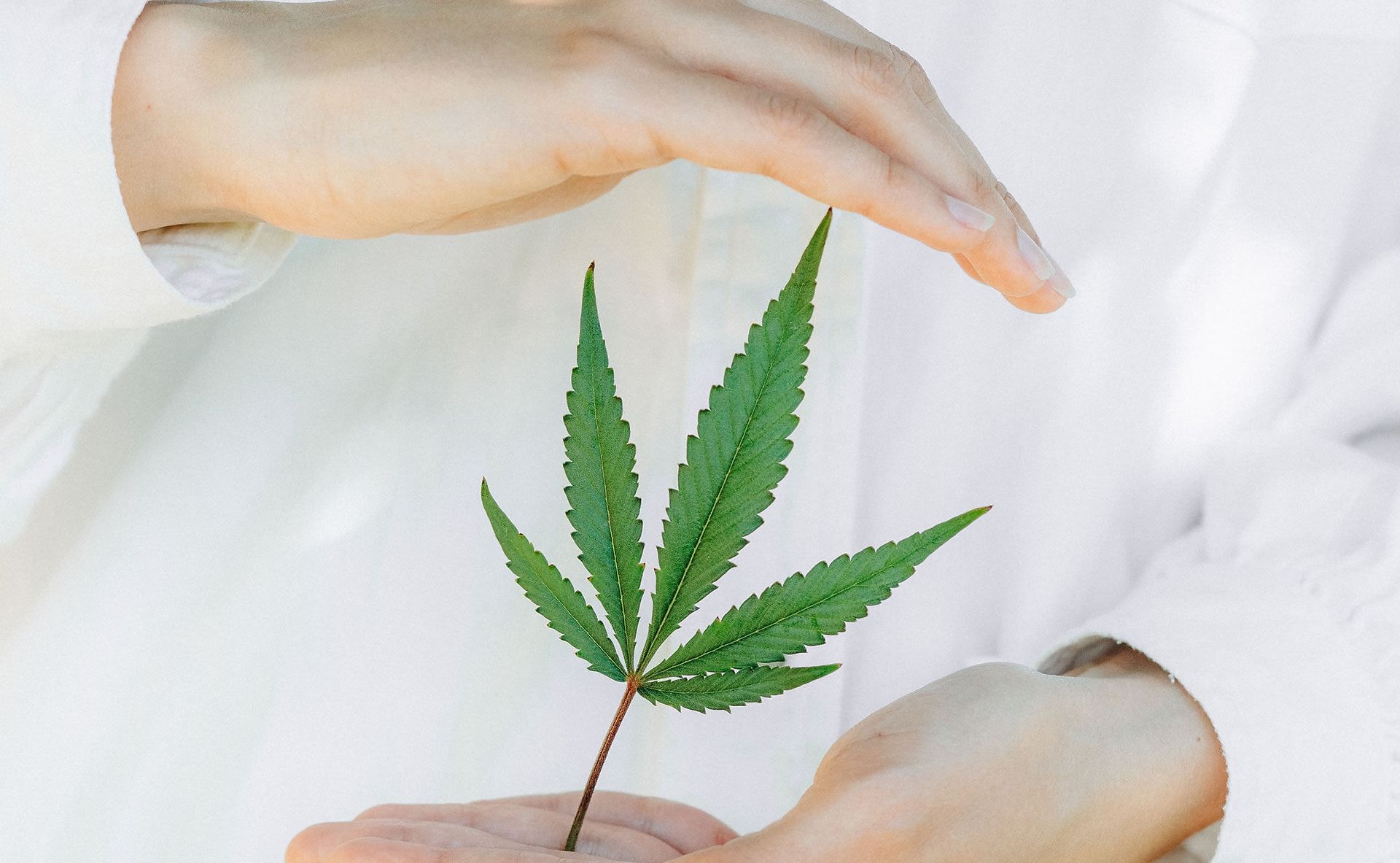 Tutti i benefici della cannabis terapeutica - CLINN